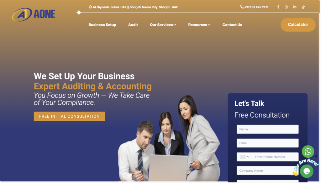 AONE Biz SEO Services